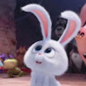 Meet your Posher, Eunice